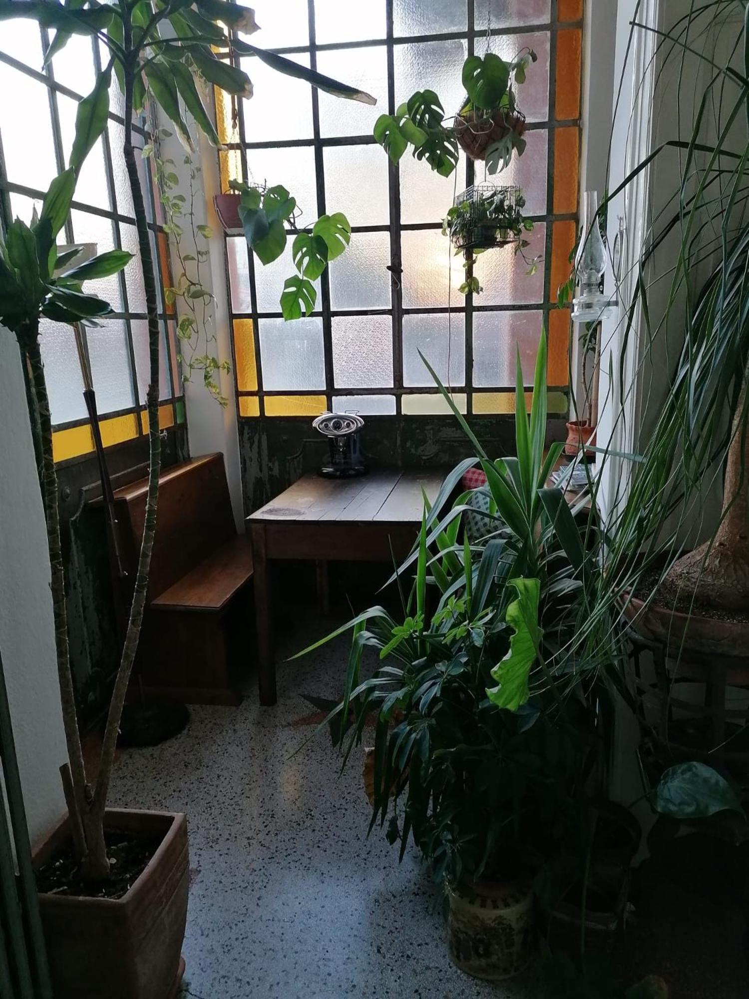 Bed and Breakfast The Liberty Terrace Udine Esterno foto